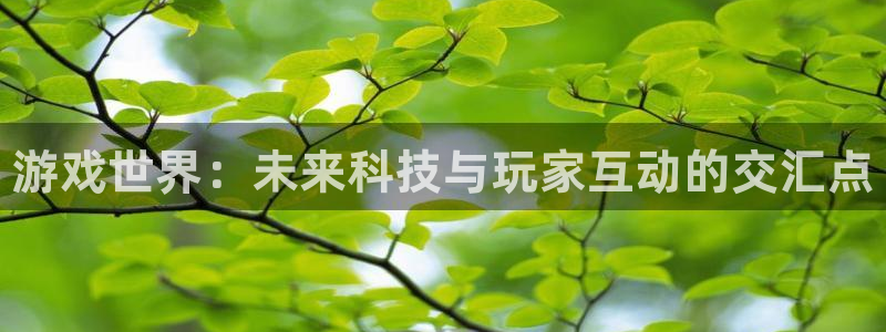 高德娱乐登录网址：游戏世界：未来科技与玩家互动的交汇点