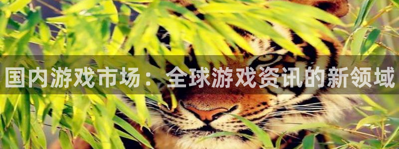 高德娱乐4开户：国内游戏市场：全球游戏资讯的新领域