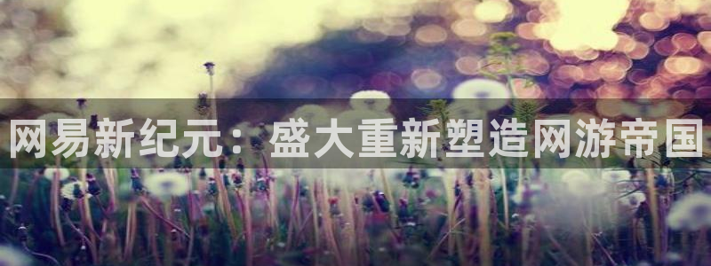 高德娱乐2首页登录：网易新纪元：盛大重新塑造网游帝国