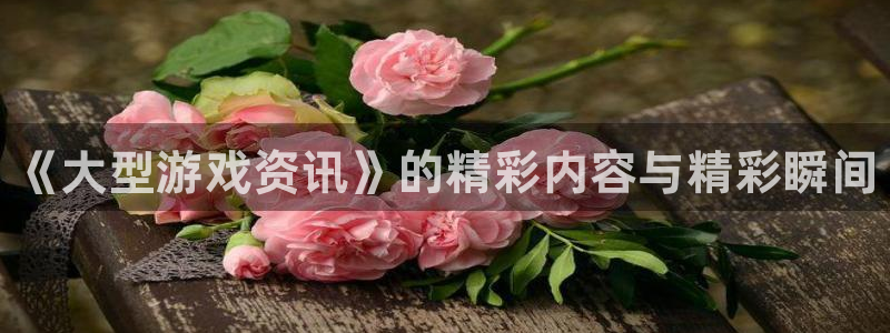 高德娱乐登陆地址：《大型游戏资讯》的精彩内容与精彩瞬间