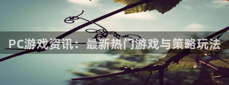 高德娱乐注册测速：PC游戏资讯：最新热门游戏与策略玩法
