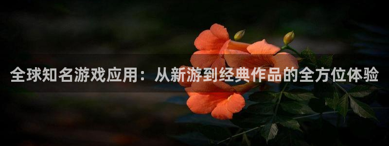 高德娱乐注册登录：全球知名游戏应用：从新游到经典作品的全方位