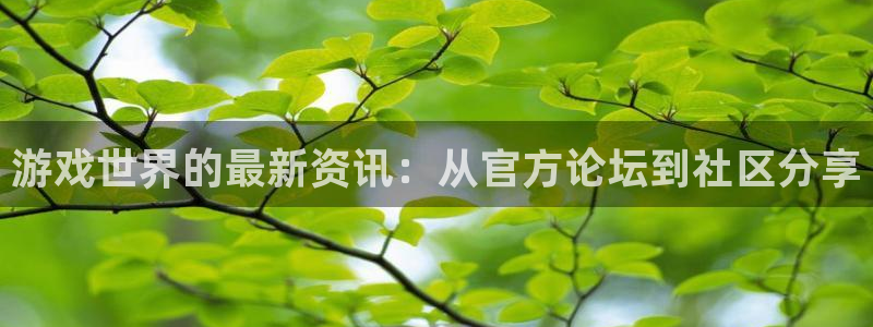 高德娱乐手机网页版登录：游戏世界的最新资讯：从官方论坛到社区