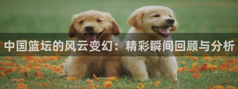 松鼠直播体育：中国篮坛的风云变幻：精彩瞬间回顾与分析