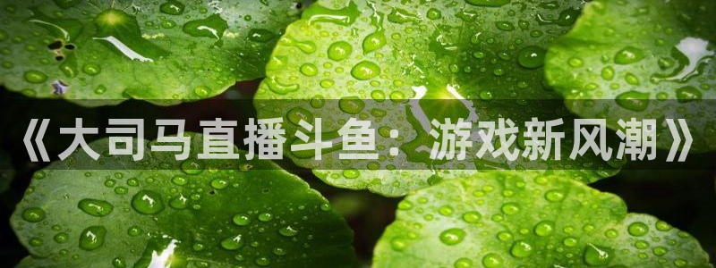 松鼠平台：《大司马直播斗鱼：游戏新风潮》