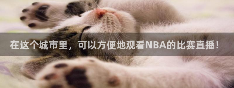 松鼠网官方下载：在这个城市里，可以方便地观看NBA的比赛直播！