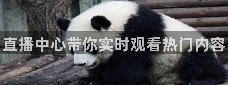 下载松鼠电视直播：直播中心带你实时观看热门内容