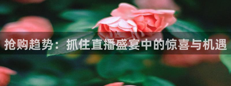 松鼠体育在线直播：抢购趋势：抓住直播盛宴中的惊喜与机遇