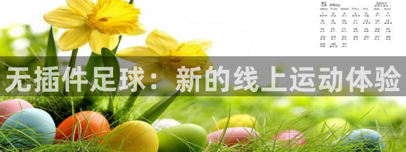 松鼠直播：无插件足球：新的线上运动体验