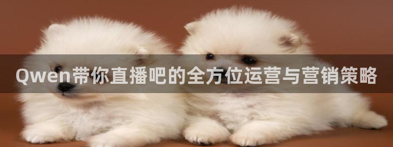 松鼠官方网站：Qwen带你直播吧的全方位运营与营销策略