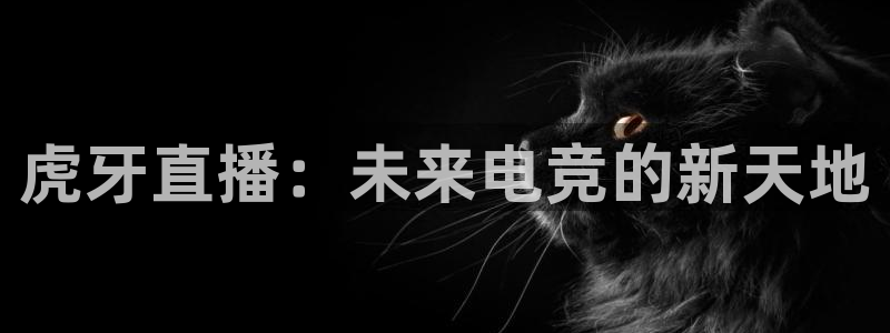松鼠直播tv：虎牙直播：未来电竞的新天地