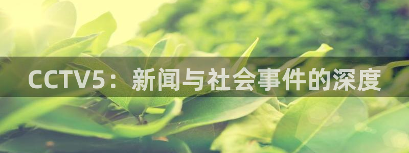 松鼠直播体育免费：CCTV5：新闻与社会事件的深度