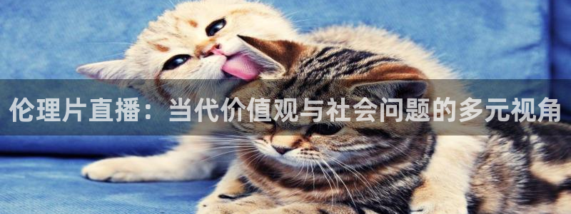 松鼠体育下载：伦理片直播：当代价值观与社会问题的多元视角