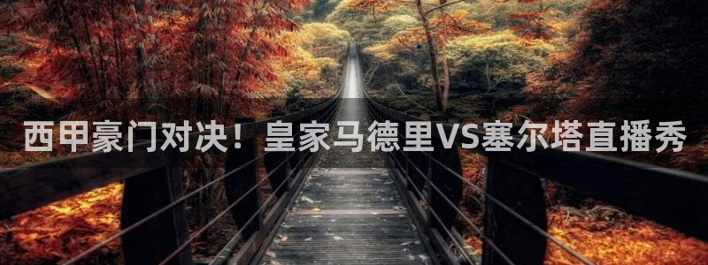 松鼠平台：西甲豪门对决！皇家马德里VS塞尔塔直播秀
